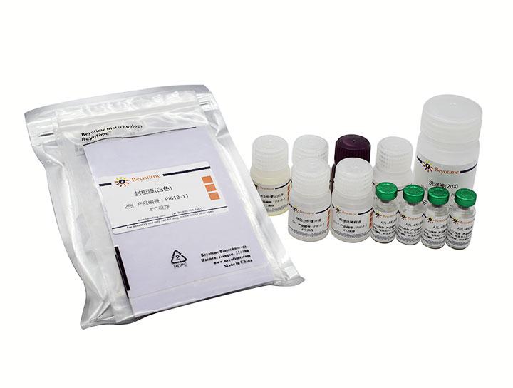 Human IL-4 ELISA Kit